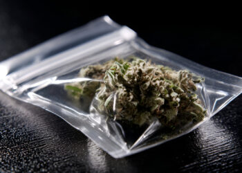 Why Transparent Weed Packaging Builds Customer Trust