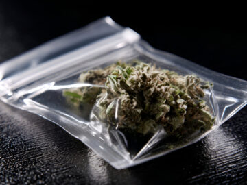 Why Transparent Weed Packaging Builds Customer Trust